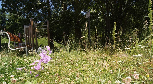 La Casa del Cura - Entorno - Banco